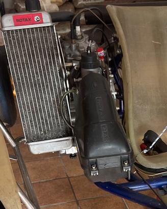 Motore Rotax Max 125