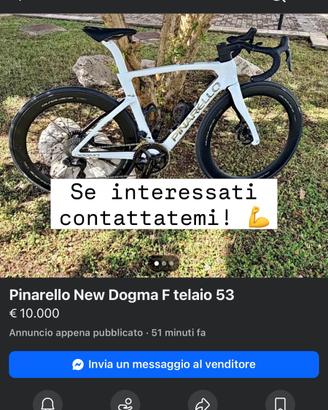 Pinarello new dogma F