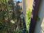 Immagine 22
