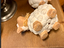 Immagine 6