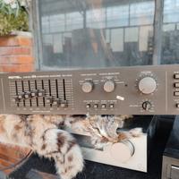 amplificatore rotel