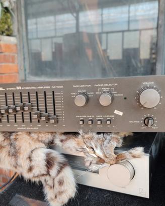 amplificatore rotel