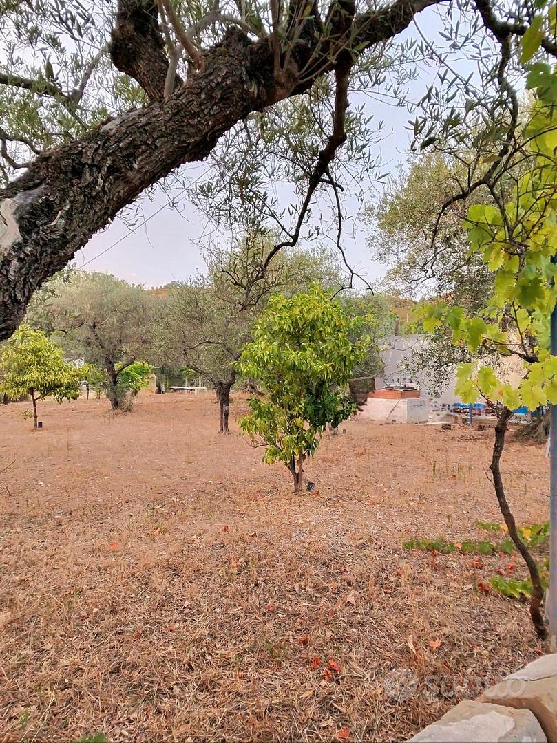 Terreno Agricolo con Immobili - Vista 2
