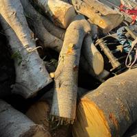 legna intera da ardere