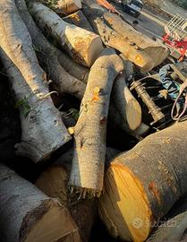 legna intera da ardere