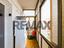 Immagine 19