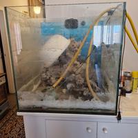 Vasca Acquario marino