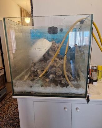 Vasca Acquario marino