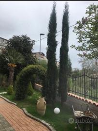 Appartamento con giardino indipendente garage