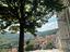 Immagine 29