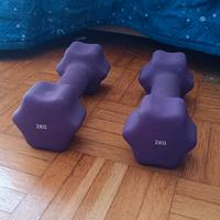 Coppia di manubri / pesetti fitness da 2 kg