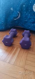 Coppia di manubri / pesetti fitness da 2 kg