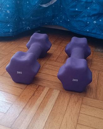 Coppia di manubri / pesetti fitness da 2 kg