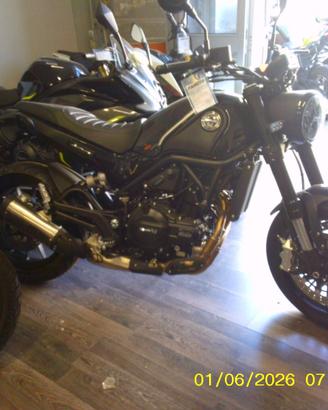 Benelli Leoncino 500