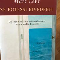"Se potessi rivederti", Levy