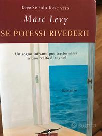 "Se potessi rivederti", Levy