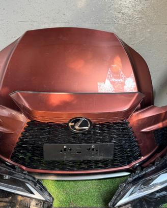 Lexus RX Muso e Airbag