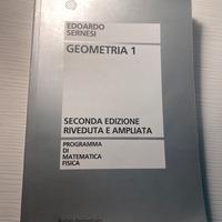 Libro geometria 1 Edoardo Sernesi