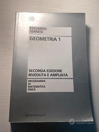 Libro geometria 1 Edoardo Sernesi