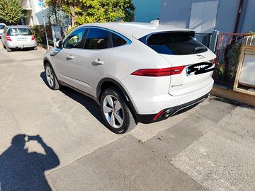 Jaguar e pace