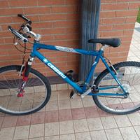 Bicicletta da uomo 