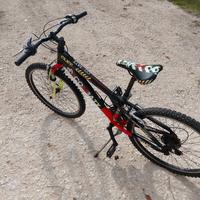 MTB Coluer per bambino/a