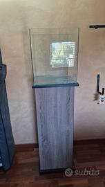 Acquario 