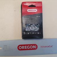 Barra e catena motosega