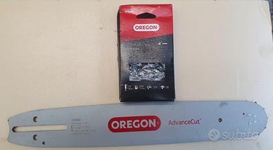 Barra e catena motosega