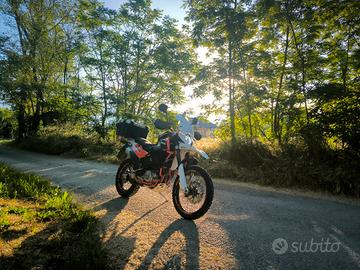 swm superdual x 