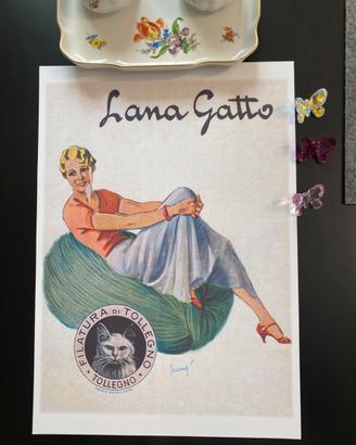 Poster stampa lana gatto quadro Casa 33 × 48