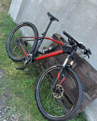 SPECIALIZED 29’
