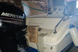Barca 5 metri cantieri Saver