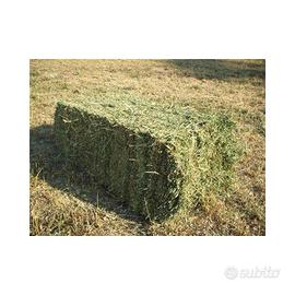 BALLETTE FIENO   IDEALE PER ANIMALI E ALLESTIMENTI