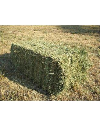 BALLETTE FIENO   IDEALE PER ANIMALI E ALLESTIMENTI