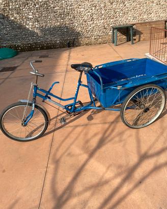 Bicicletta  con cassone carretto