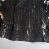 Pelle intera  di vero coccodrillo nera
