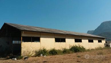 Ampio terreno con strutture produttive