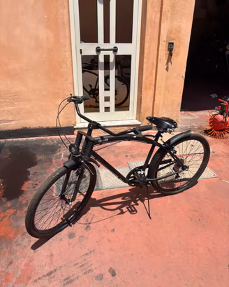 cruiser/chopper bike