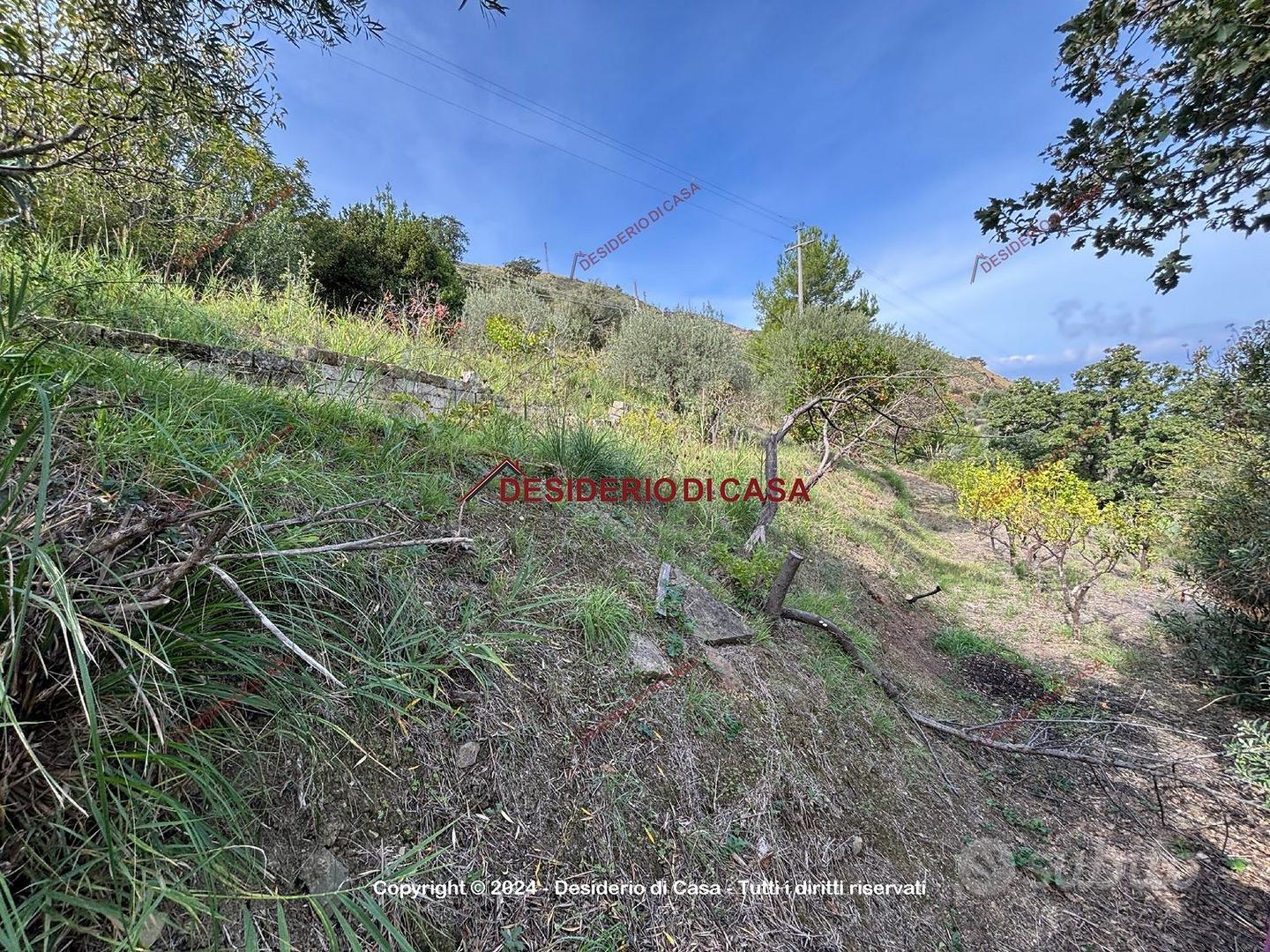 Terreno, Cefalù. - Vista 3