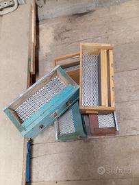 apicoltura gabbie polline