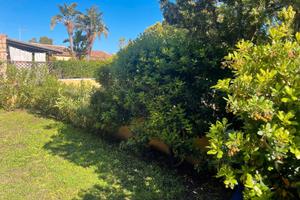 Appartamento Porto Pollo - 300 mt dalla Spiaggia