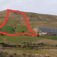 Aidone borgo baccarato - terreno per agrivoltaico