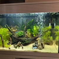 Acquario Askoll Pure Led L