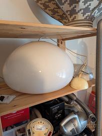 Flos black and White 