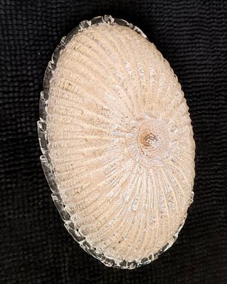 Plafoniera ovale in vetro di Murano vintage