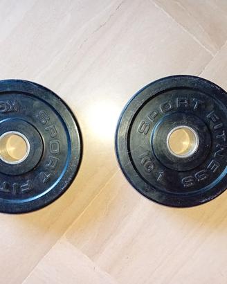 Coppia di pesi a disco in gomma e acciaio da 1 Kg 