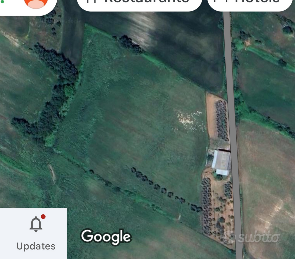 Terreno 3 ettari - Vista 6