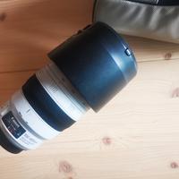 Canon 100-400 f4. 5 L IS II USM