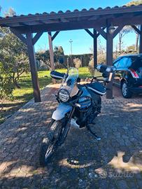 Himalayan come nuova